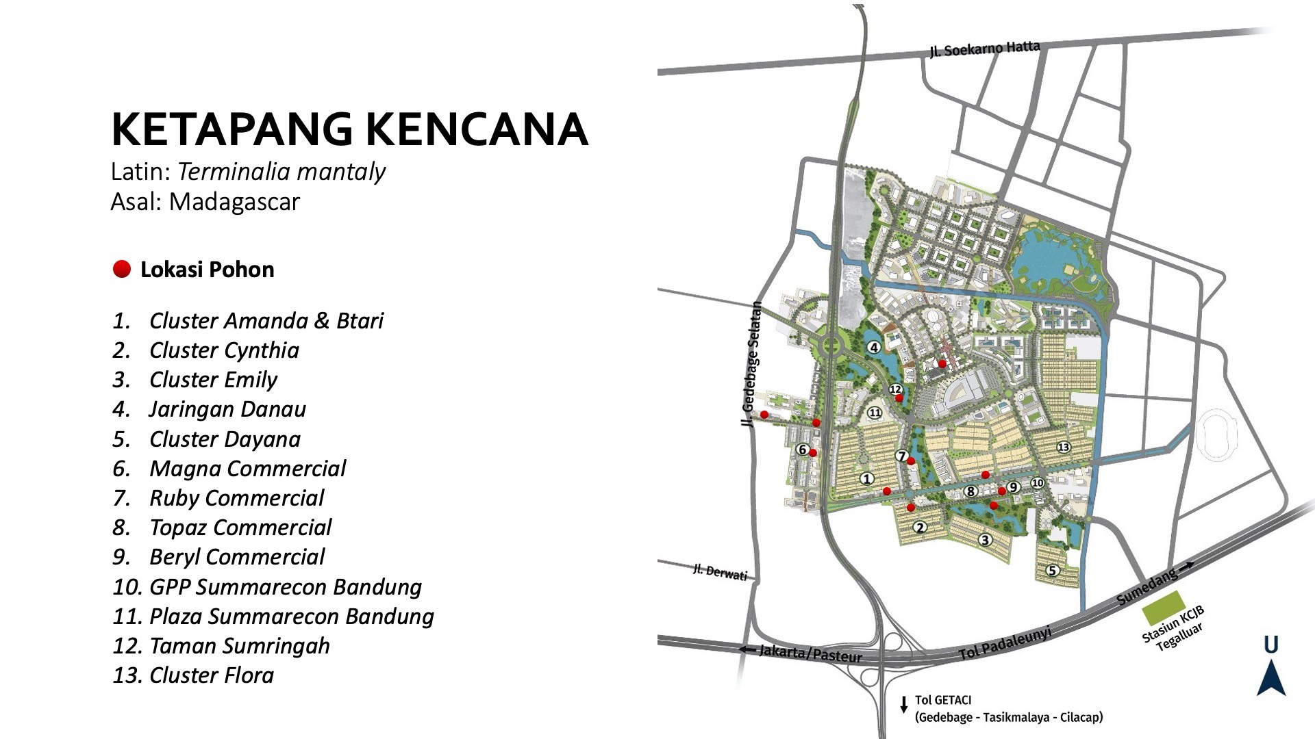 article/banner/Denah Lokasi Pohon.jpg